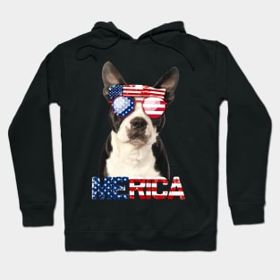 Merica Boston Terriers Dog American Flag 4Th Of July Hoodie